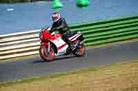 Vintage-motorcycle-club;eventdigitalimages;mallory-park;mallory-park-trackday-photographs;no-limits-trackdays;peter-wileman-photography;trackday-digital-images;trackday-photos;vmcc-festival-1000-bikes-photographs